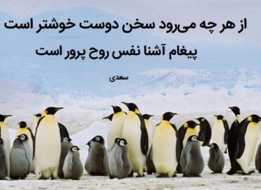 از هر چه میرود سخن دوست خوشتر است – سعدی