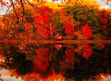 بازتاب پاییز