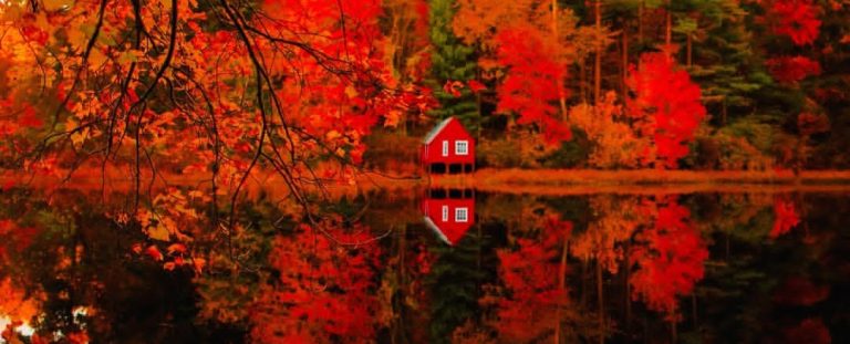 بازتاب پاییز