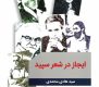 ایجاز در شعر سپید