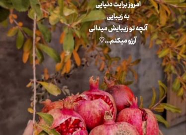 در خصوص شب یلدا