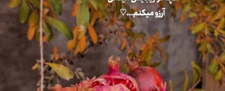 در خصوص شب یلدا